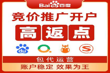 竞价广告端口开户的典型案例剖析